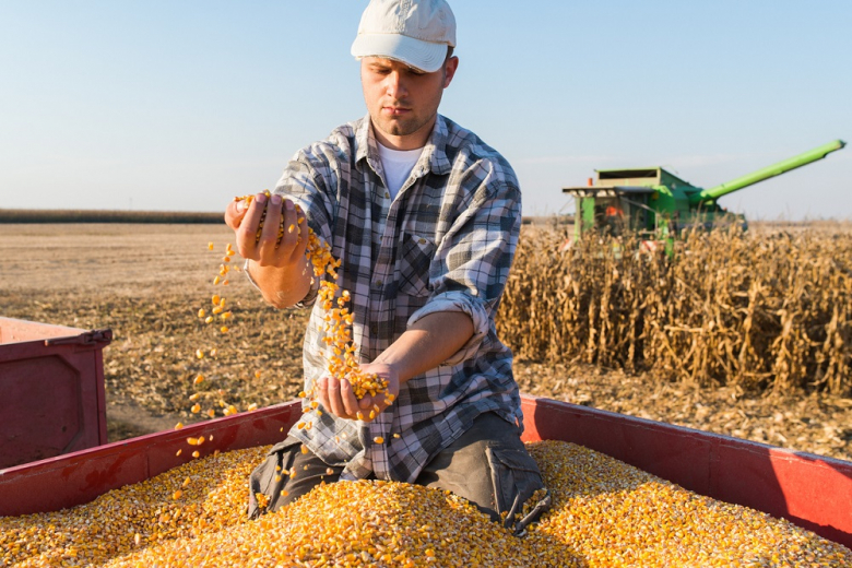С 27 марта в России обнулят экспортную пошлину на кукурузу